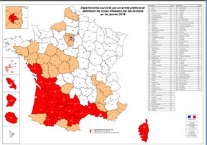 Carte infestation termites LANDES